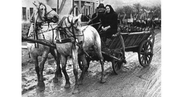 Kárpátalja anno: „Aki tűt lop, ökröt is lop” – avagy kárpátaljai szólások, mondások