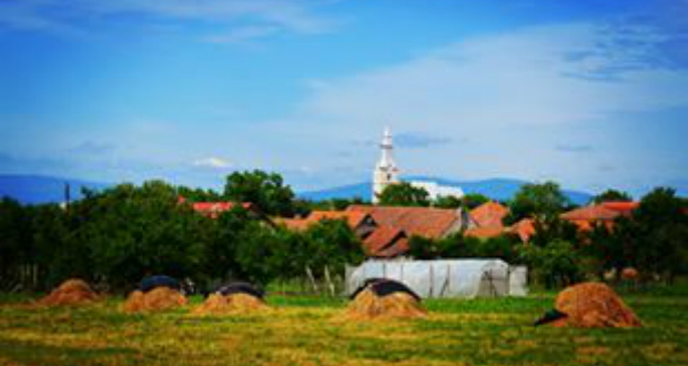 Tóth Árpád: Forró nyári nap