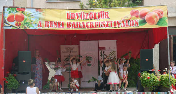 Harmadik alkalommal szerveztek barackfesztivált Benében