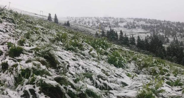 Ismét havazott a Kárpátokban