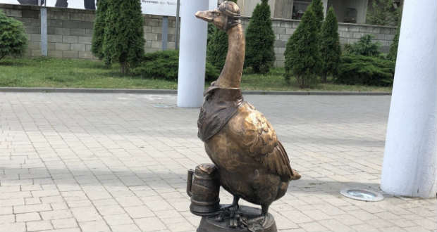 Kárpátalja ma: sörfőző liba Munkácson