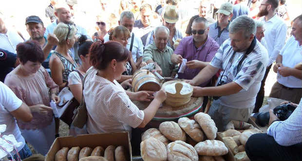 Összeöntötték a Kárpát-medencei magyar gazdák által gyűjtött búzát Kárpátalján
