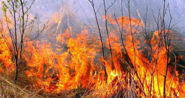 Újabb hőségrekordokkal és bozóttüzekkel számol Ausztrália