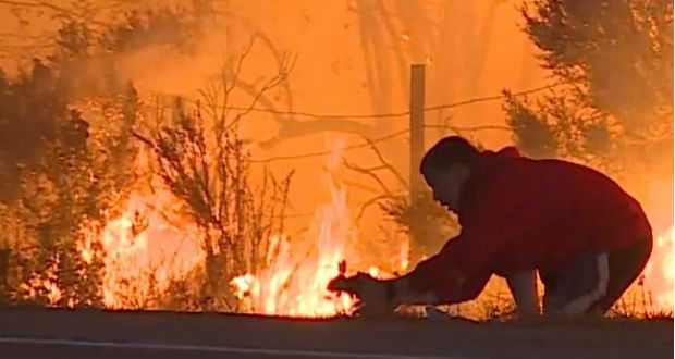 Egyelőre nem tudják megfékezni a tüzet Kaliforniában