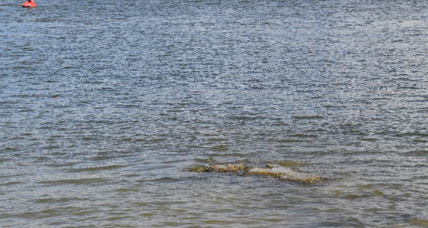 Minden idők legalacsonyabb vízállását mérték több helyen is a Dunán