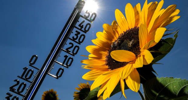 Minden idők legmelegebb júliusa volt az idei