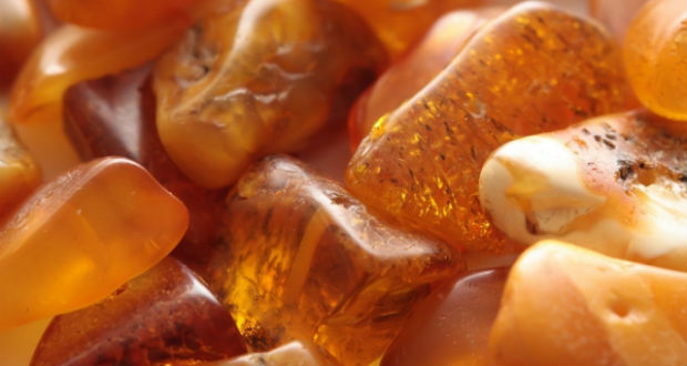 52 kg borostyánt akart kicsempészni egy ungvári városi képviselő