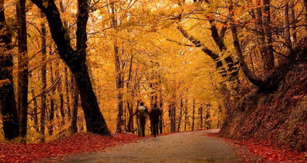 A legegészségesebb őszi programok