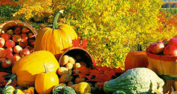 A legjobb őszi gyümölcsök és zöldségek