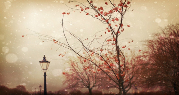 Radnóti Miklós: Októberi vázlat