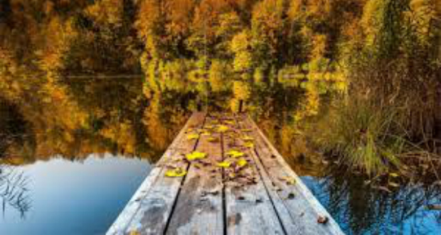 Dsida Jenő: Csendország taván