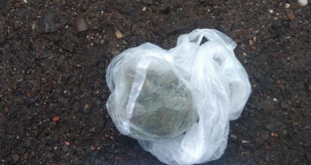 Marihuánát találtak egy beregszászi férfinál