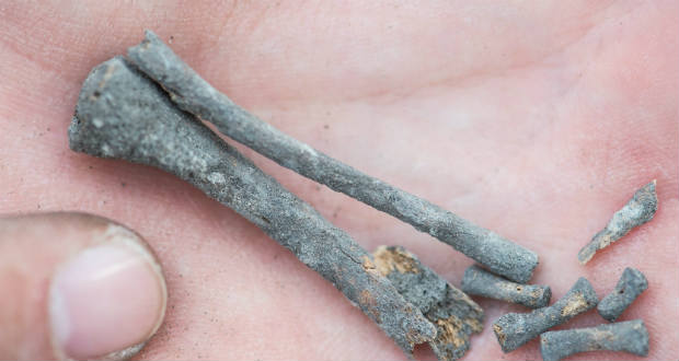 Több mint kétmillió éves kőeszközöket találtak Észak-Afrikában