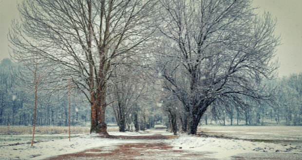 Dsida Jenő: Az első hó