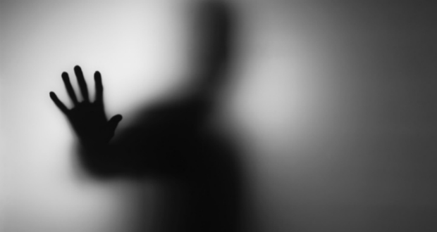 Kányádi Sándor: Árnykép