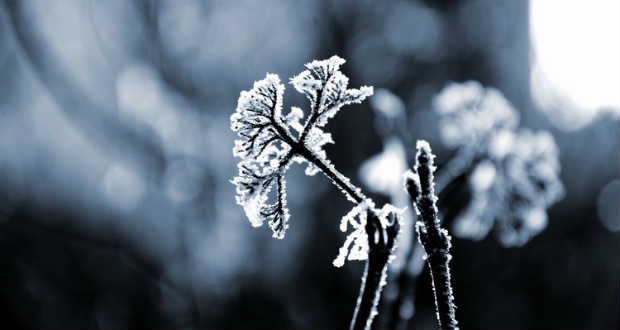 Fagyokkal jön a december Kárpátaljára