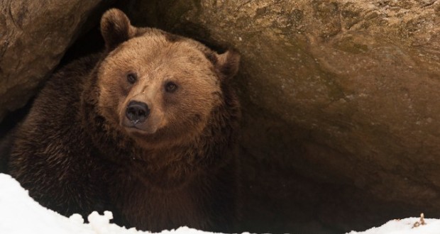 Weinrauch Katalin: Február 2.