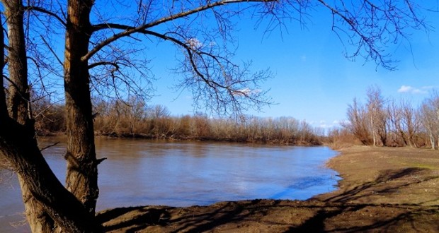 Radnóti Miklós: Március