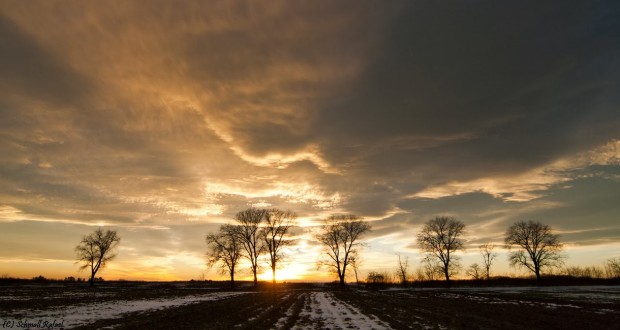 Weinrauch Katalin: Január 25.