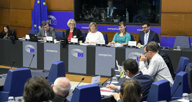 Sikeresen zárta öt éves munkáját az Európai Parlament Kisebbségi Munkacsoportja