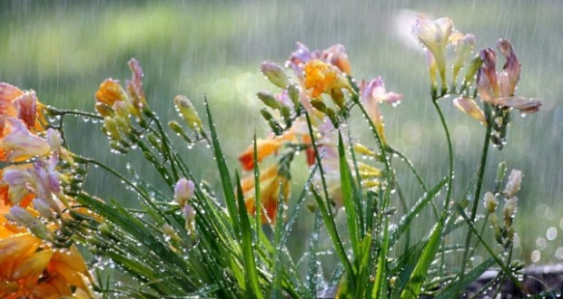 Esőzés várható holnap