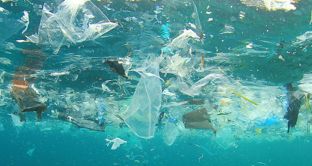 Hatalmas károkat okoz a műanyagszemét