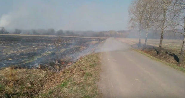 Égett a Nárciszok völgye