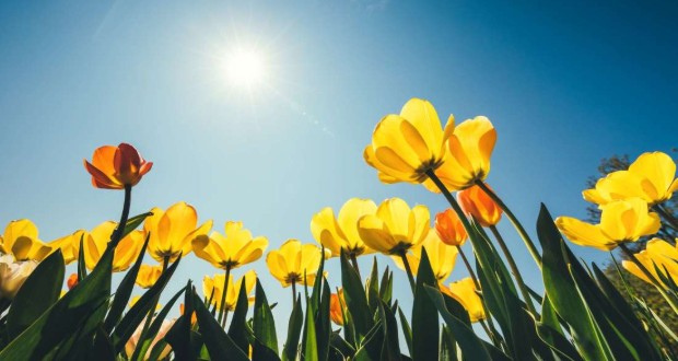 Meleg, napos időre számíthatunk a héten Kárpátalján