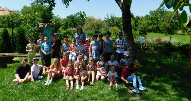 Pünkösdi királyválasztás a Nagyberegi tájházban