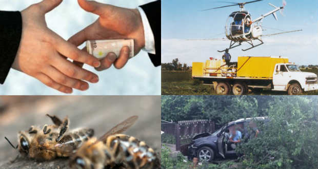 Kopogtató: mennyit ér a becsületed?