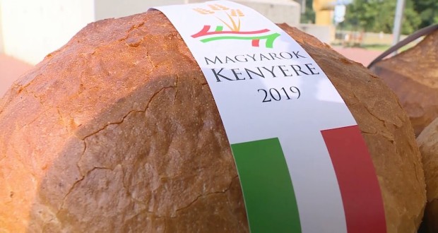 Idén több mint 600 tonna búzaadományra számítanak a Magyarok Kenyere programban
