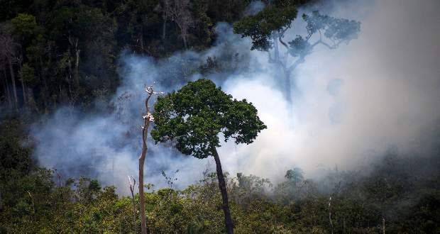 A bolíviai elnök meghívta a G7 vezetőit, hogy segítsenek az amazóniai erdőtüzek oltásában
