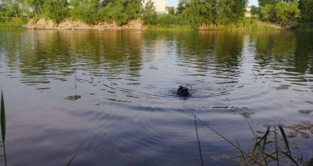 Holttestet találtak a Tiszában
