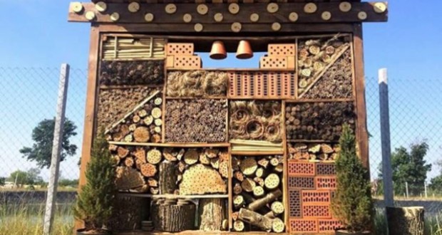 Kárpátalja ma: bogárhotel