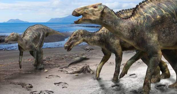 Felfedeztek egy 72 millió éve élt óriási dinoszauruszfajt Japánban