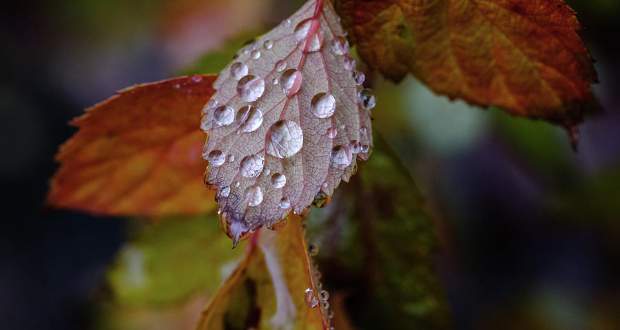 Esővel köszönt be az október Kárpátalján
