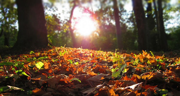 Meleg őszre számíthatunk Ukrajnában
