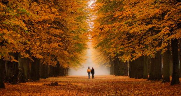 Zelk Zoltán: Nyár és tél között