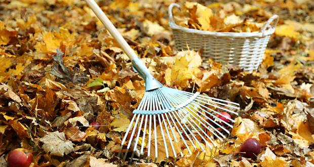 Hogyan készítsük fel növényeinket a következő szezonra ősszel?