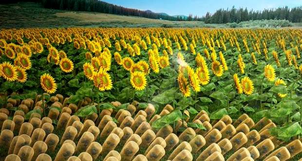 Napraforgóként követik a napfényt az új mesterséges naphengerek