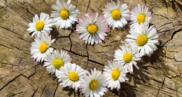 A hála naponkénti odafigyelést igényel