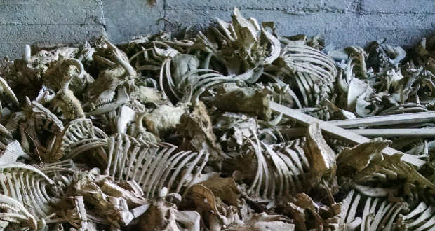 Múltfogyatkozás: Paprikás krumpli