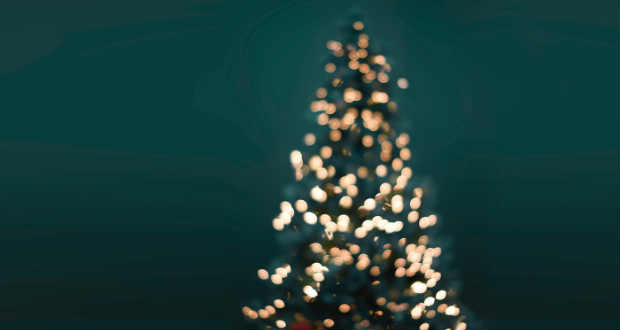 Túrmezei Erzsébet: Karácsonyi kívánság