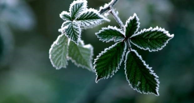 Mínuszok és csúszós utak várhatók Kárpátalján