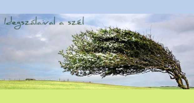 Vers a térben – felhívás