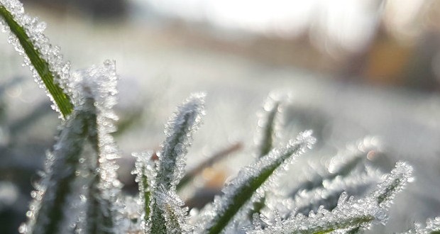 Újból fagyokra számíthatunk Kárpátalján