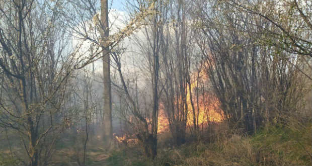Bozóttűzben sérült meg egy férfi Beregszászban