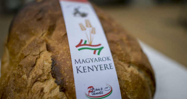 Idén is elindul a Magyarok Kenyere program