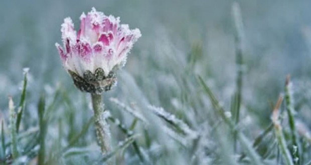 Fagyra számíthatunk Kárpátalján
