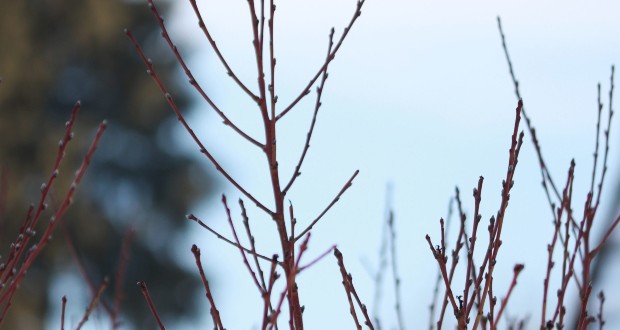 Lehűlés és eső várható a hétvégén